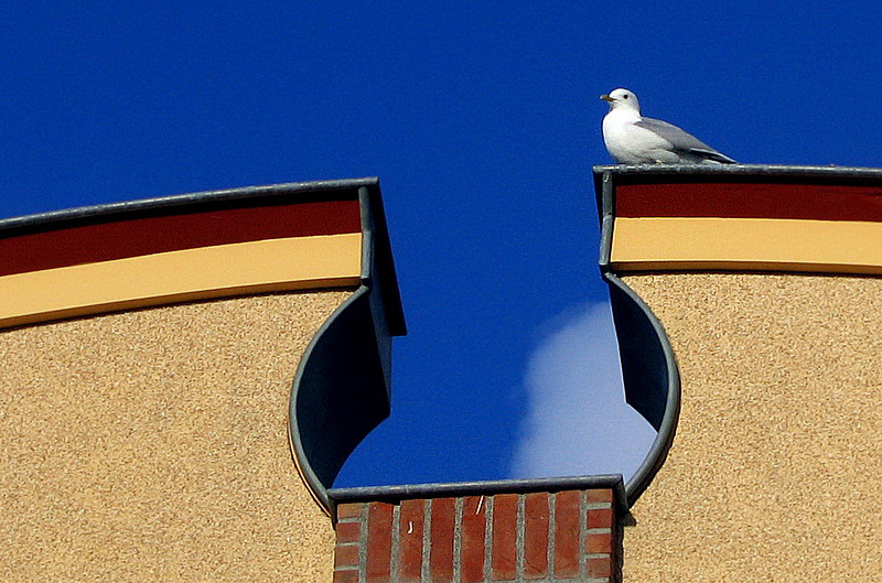 Texel  Fassade  PICT 1518_Bildgröße ändern.jpg